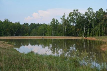 Timberland Property in Buckingham County, Virginia