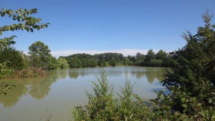 Farm and Ranch in Vernon County, Missouri