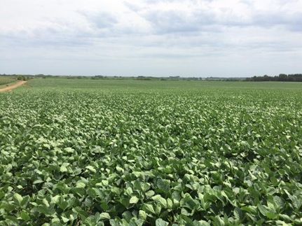 Farm and Ranch in Richardson County, Nebraska