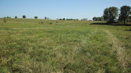 Farm and Ranch in DeKalb County, Missouri