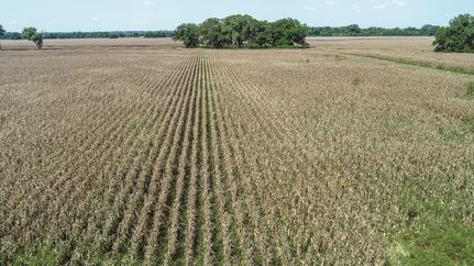 Land in Milam County, Texas