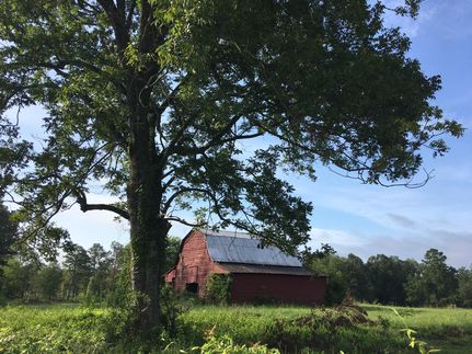 Land in Saint Clair County, Alabama