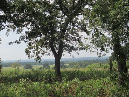 Farm and Ranch in Milam County, Texas