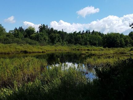 Recreational Property in Oswego County, New York