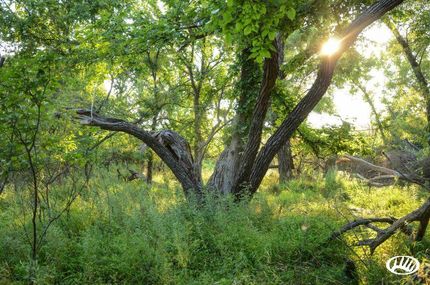 Farm and Ranch in Cowley County, Kansas