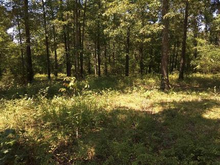 Recreational Property in Sharp County, Arkansas