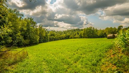 Land in Monroe County, Wisconsin