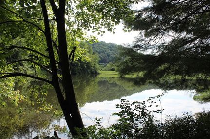 Timberland Property in Guernsey County, Ohio