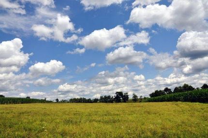 Undeveloped Land in Monroe County, West Virginia