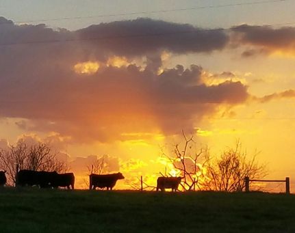 Farm and Ranch in Washington County, Texas