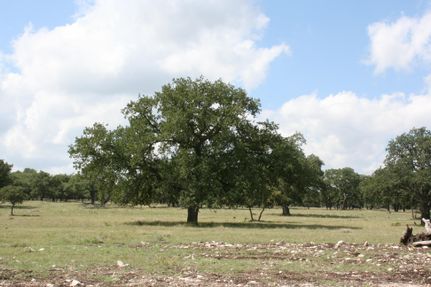 Farm and Ranch in Kerr County, Texas