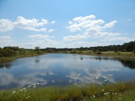 Timberland Property in Hamilton County, Texas