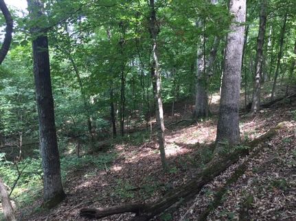 Timberland Property in Marion County, Illinois