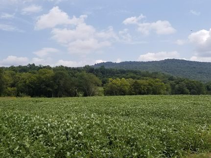 Land in Franklin County, Tennessee