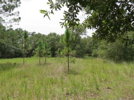 Land in Hillsborough County, Florida