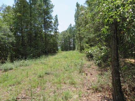 Land in Holmes County, Florida
