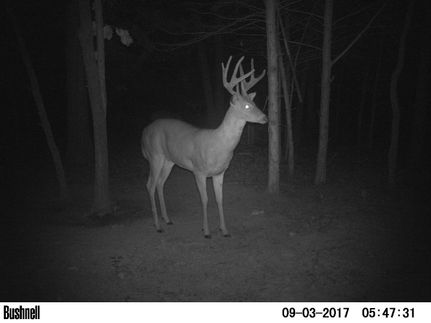 House in Clark County, Missouri
