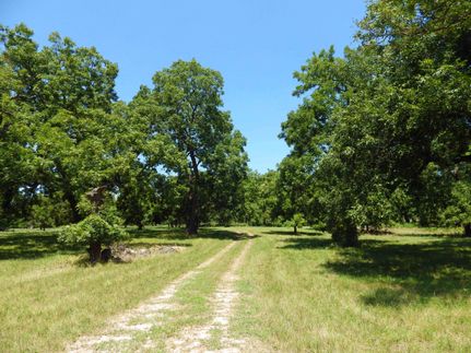 Timberland Property in Uvalde County, Texas