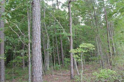 Recreational Property in Person County, North Carolina