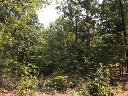 Timberland Property in Le Flore County, Oklahoma