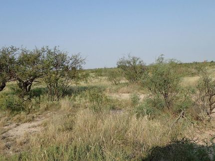 Recreational Property in Terrell County, Texas