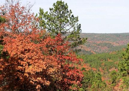 Land in Latimer County, Oklahoma