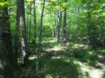 Recreational Property in Allegany County, New York