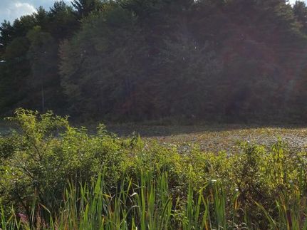 Land in Barry County, Michigan