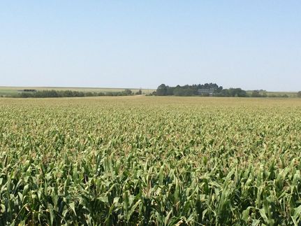 Farm and Ranch in Hughes County, South Dakota