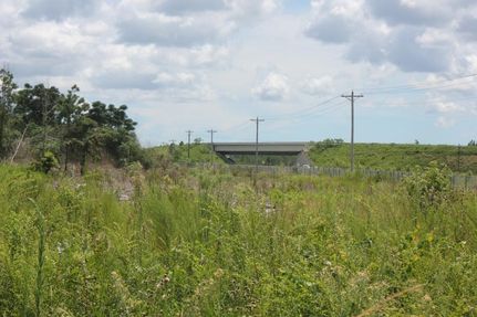 Undeveloped Land in Georgetown County, South Carolina