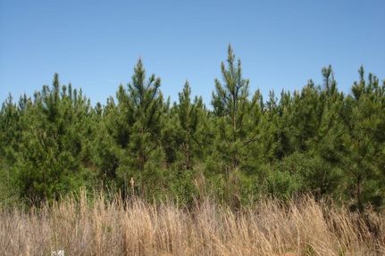 Recreational Property in Tuscaloosa County, Alabama