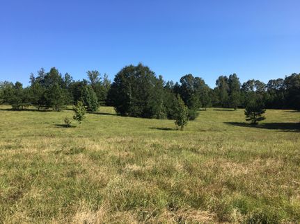 Land in Randolph County, Alabama