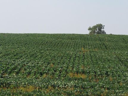 Farm and Ranch in Davis County, Iowa
