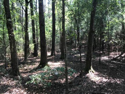 Timberland Property in Smith County, Mississippi