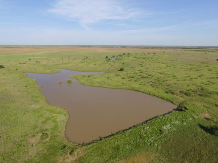 Timberland Property in Clay County, Texas