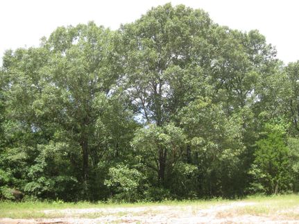 Farm and Ranch in Anderson County, Texas
