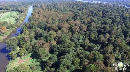 Timberland Property in Warren County, Mississippi
