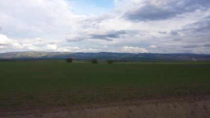 Farm and Ranch in Umatilla County, Oregon