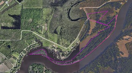 Timberland Property in Ouachita Parish, Louisiana