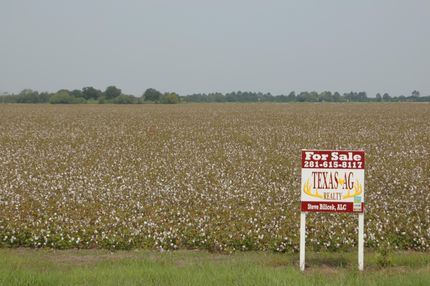 Undeveloped Land in Fort Bend County, Texas