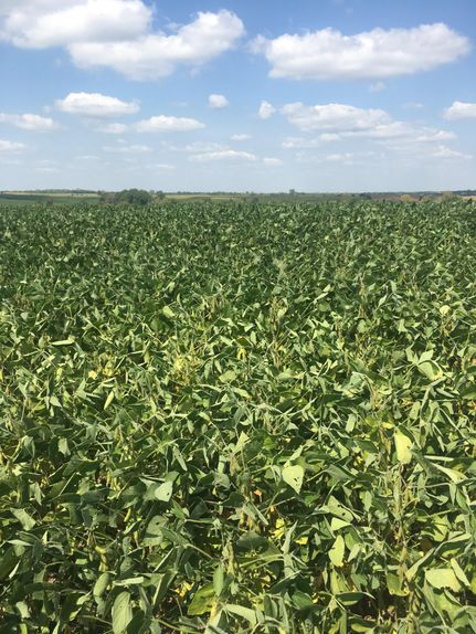 Farm and Ranch in Linn County, Missouri