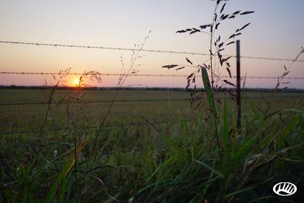 Land in Washita County, Oklahoma