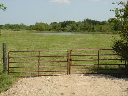 Undeveloped Land in Waller County, Texas