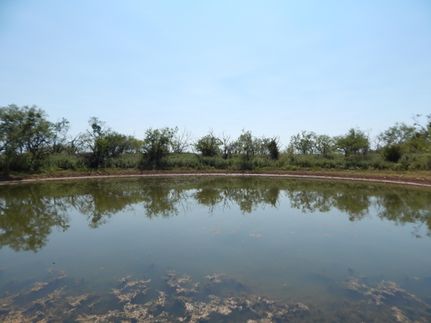 Farm and Ranch in Coleman County, Texas