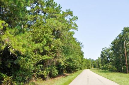 Undeveloped Land in Montgomery County, Texas