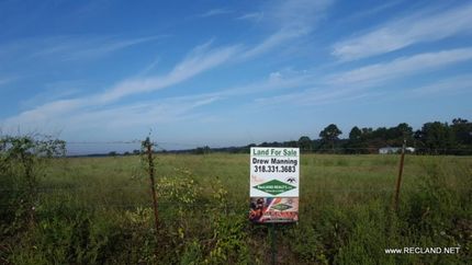 Undeveloped Land in Union Parish, Louisiana