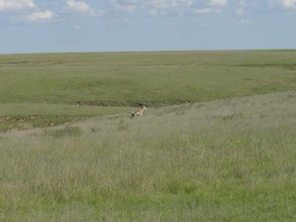 Recreational Property in Gray County, Texas