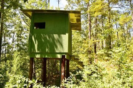 Undeveloped Land in Coosa County, Alabama