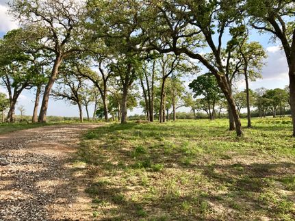 Undeveloped Land in Robertson County, Texas