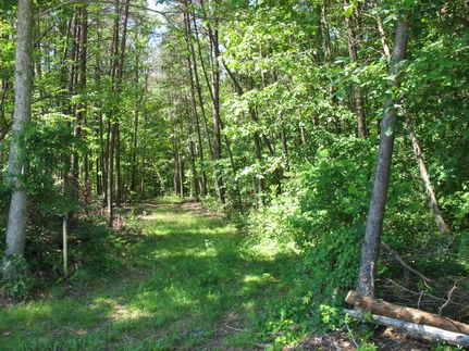 Undeveloped Land in Caroline County, Virginia